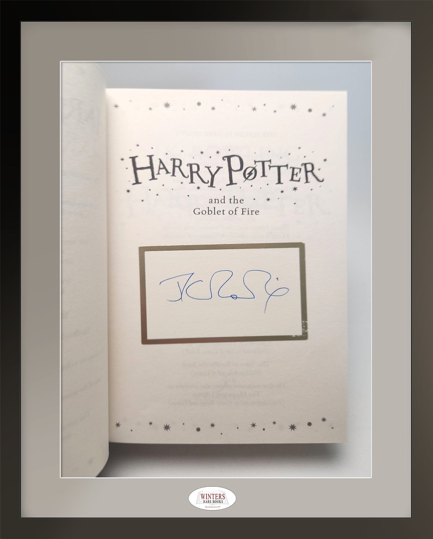 Truly unique (1/1) signed set of the second UK hardback edition of Harry Potter (illustrated by Jonny Duddle)