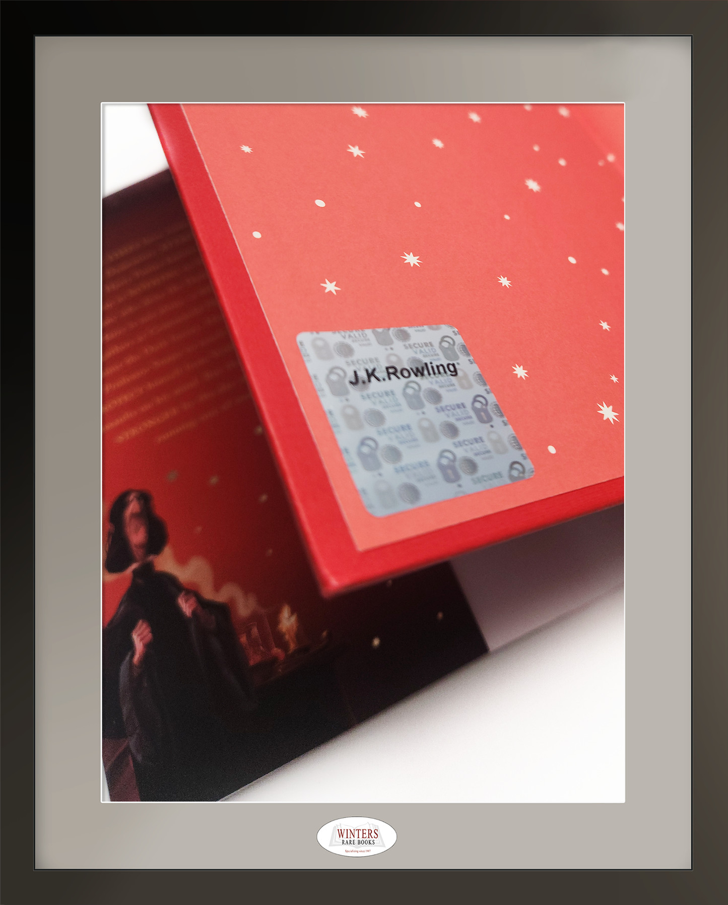 Truly unique (1/1) signed set of the second UK hardback edition of Harry Potter (illustrated by Jonny Duddle)