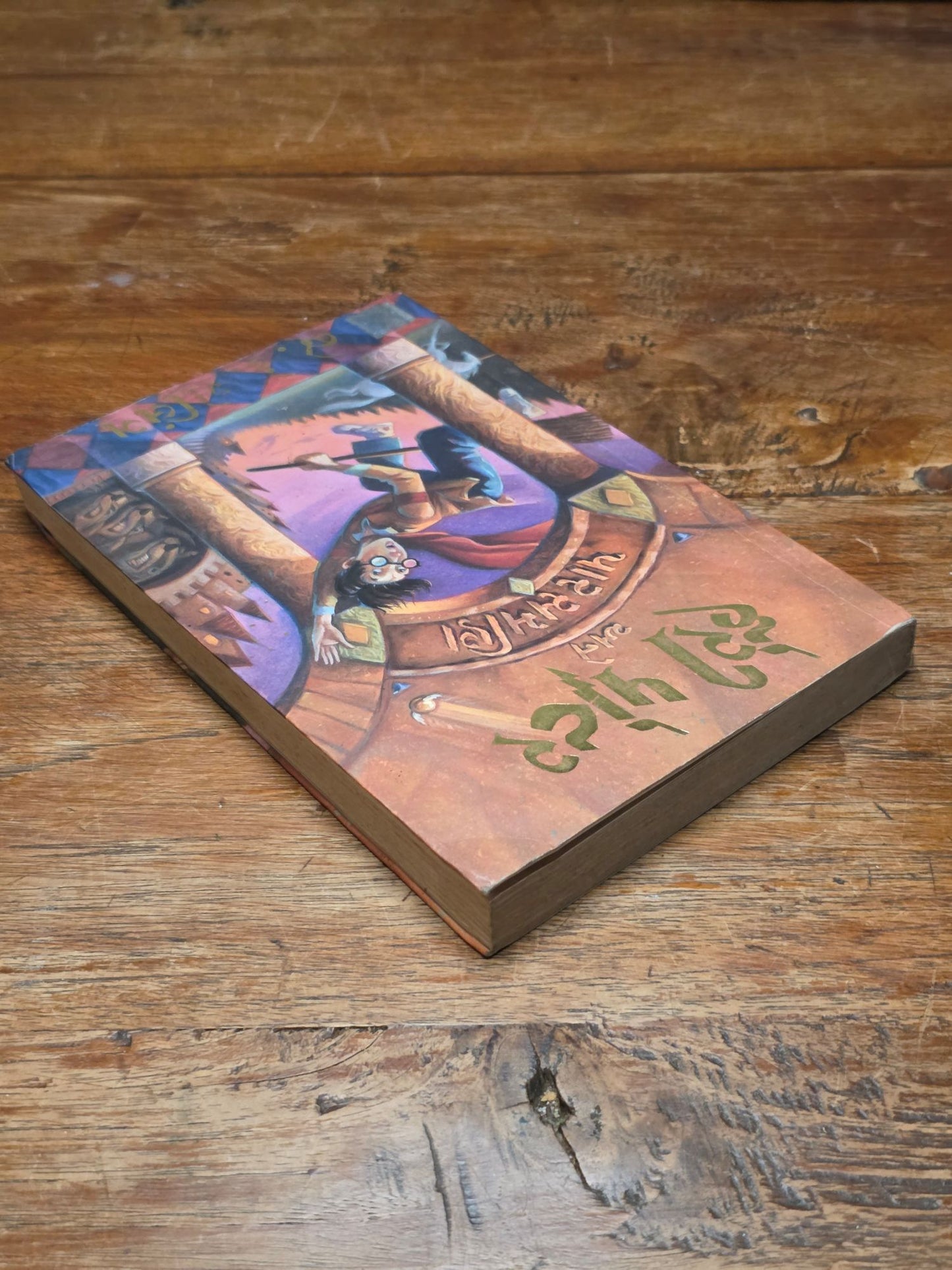 Harry Potter and the Philosopher's Stone – Ultra rare Gujatari translation