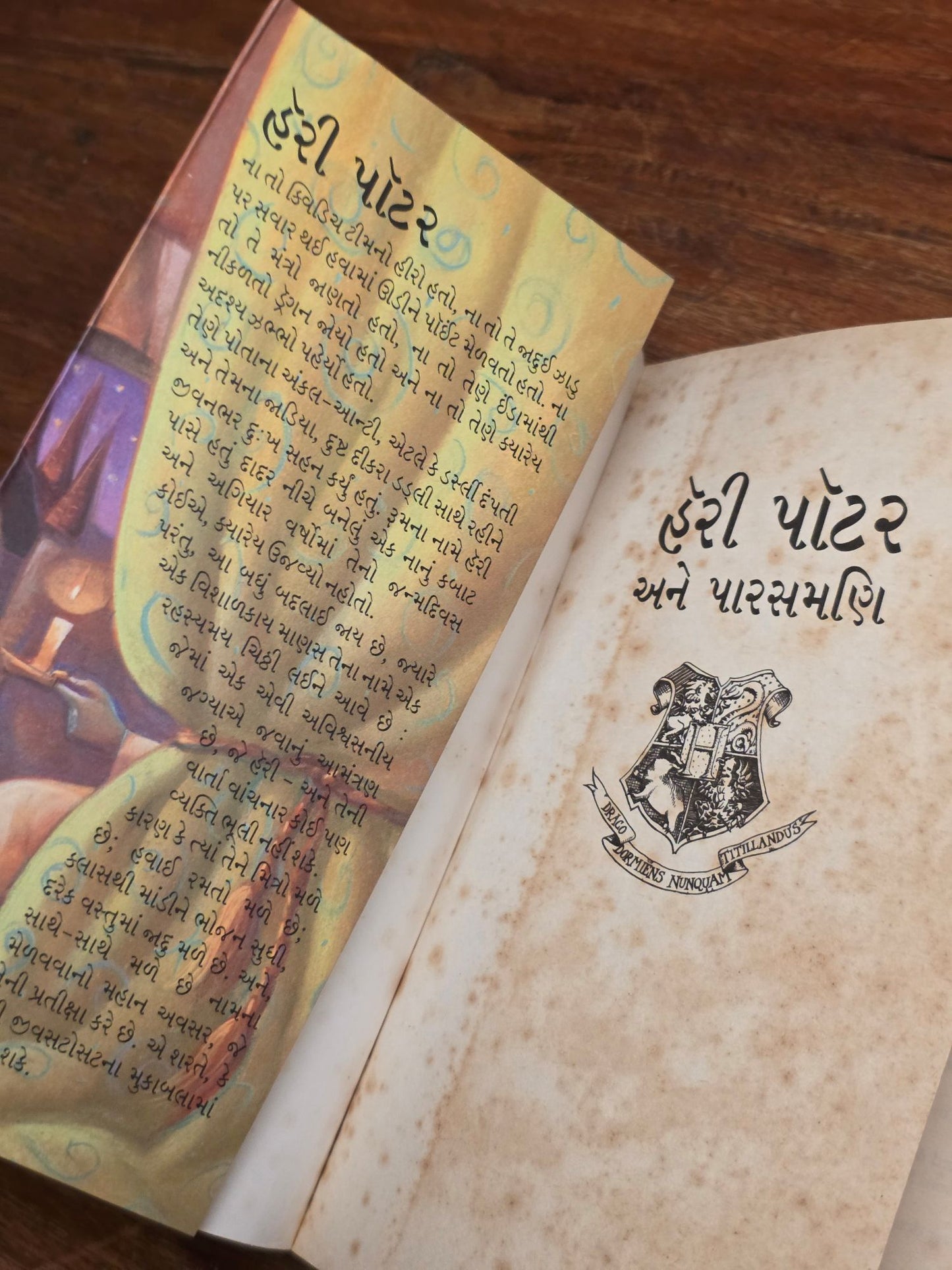 Harry Potter and the Philosopher's Stone – Ultra rare Gujatari translation