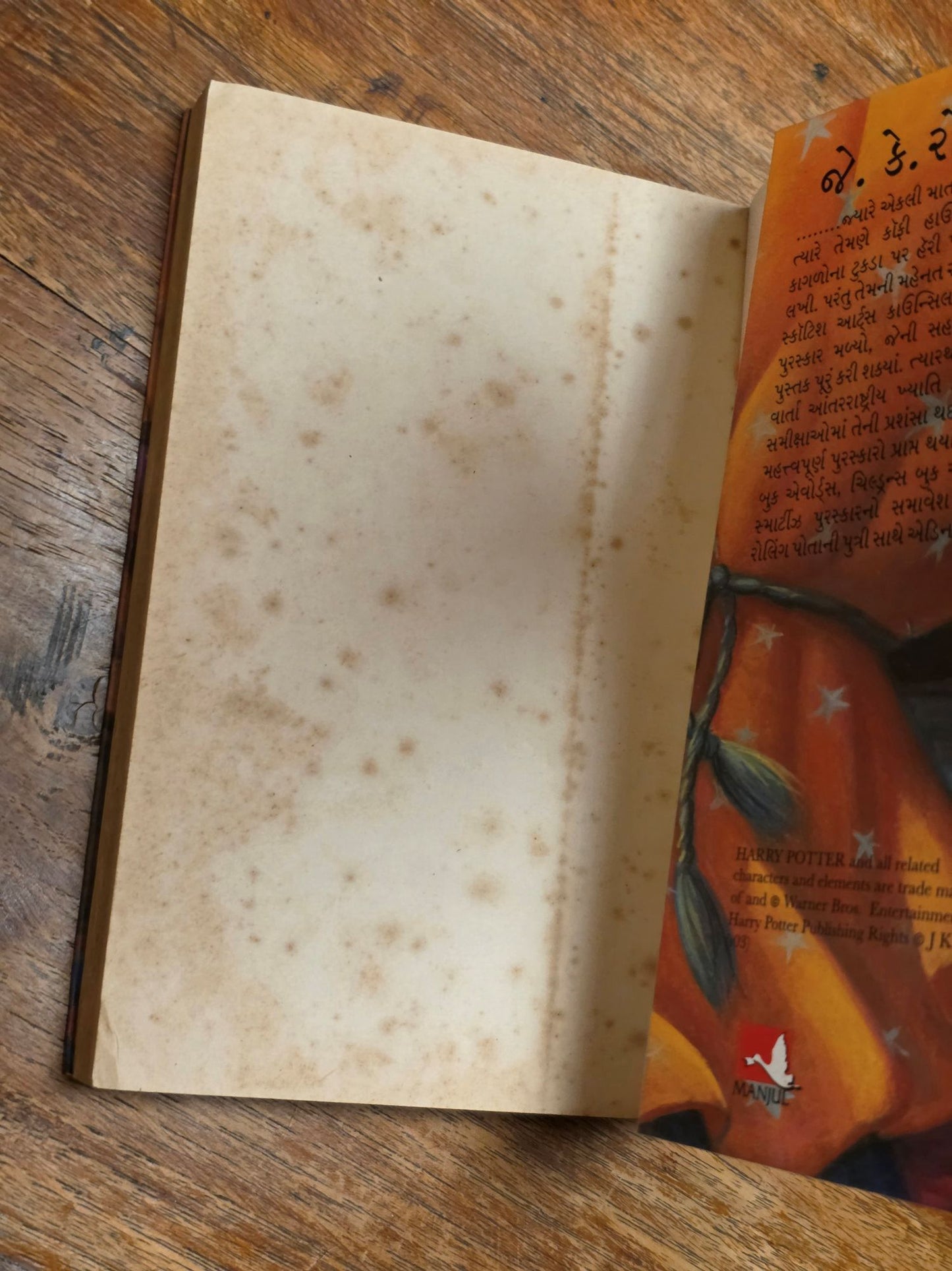 Harry Potter and the Philosopher's Stone – Ultra rare Gujatari translation