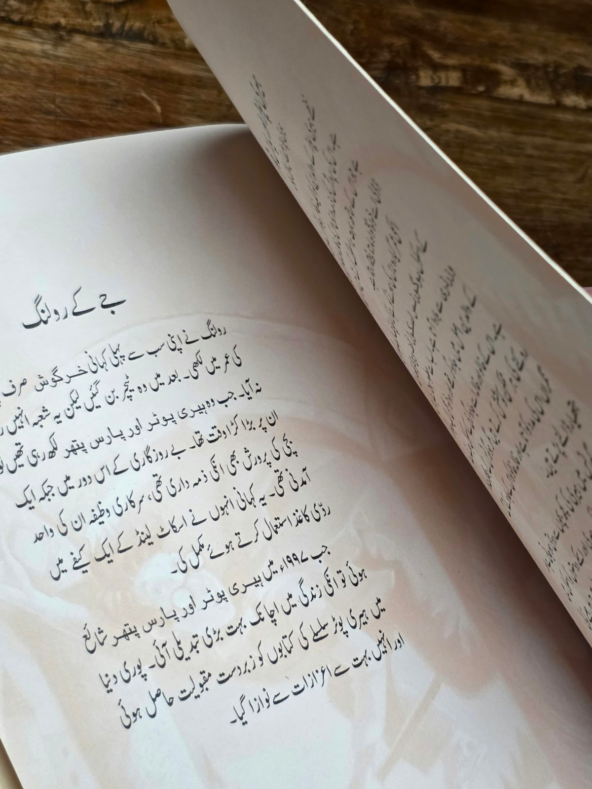 Harry Potter and the Philosopher’s Stone - First Urdu Edition